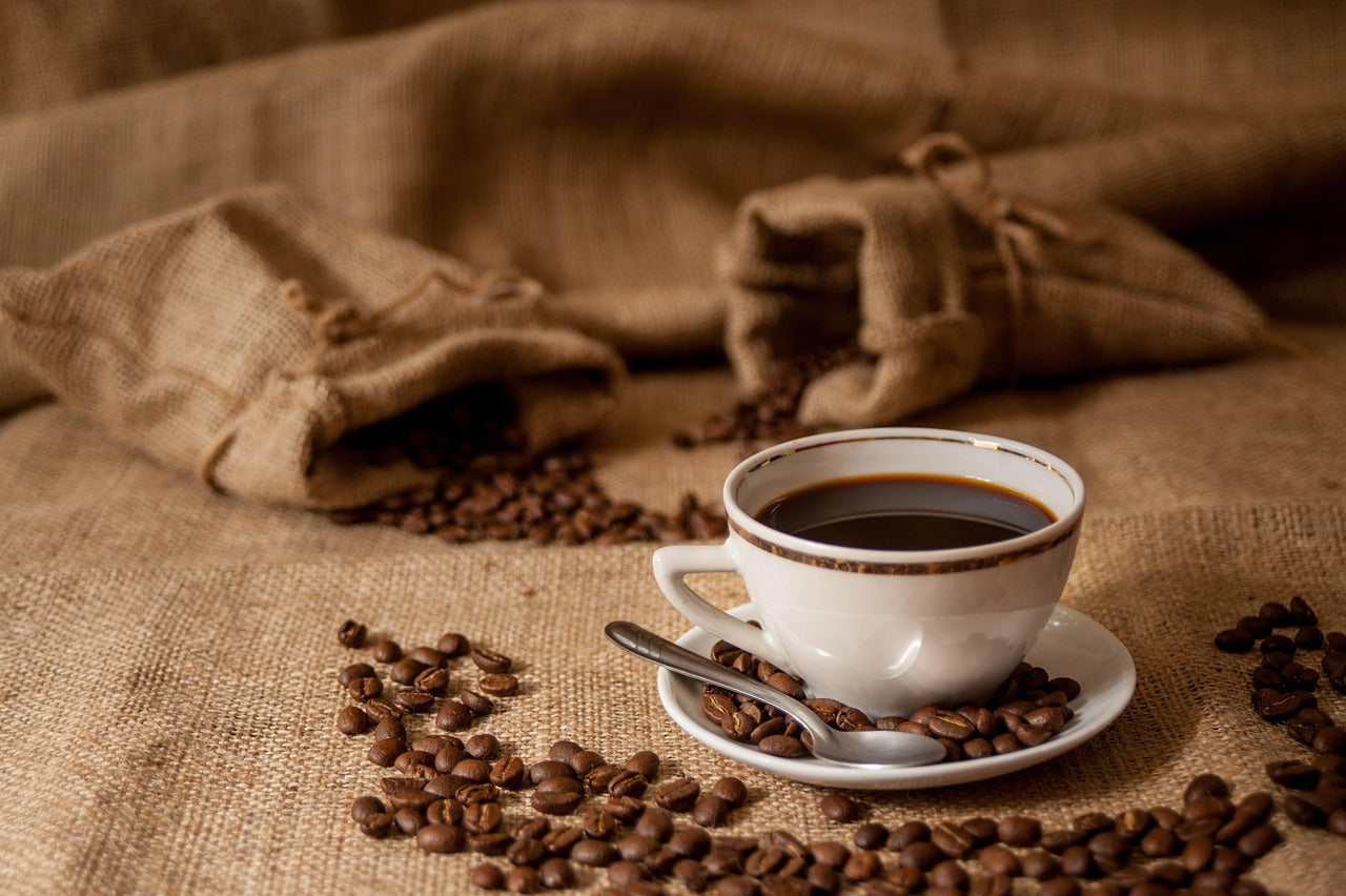 Arabika ir Robusta pupelių palyginimas