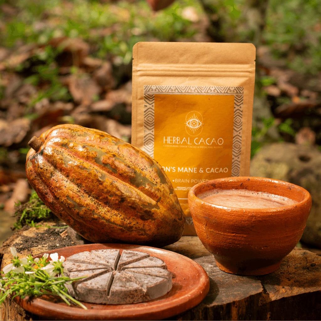Ceremoninė kakava HERBAL CACAO Brain Power (Lions Mane) 100g